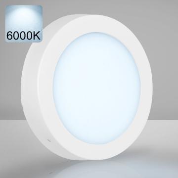 EMPIRE | Panneau LED en saillie | Ø225mm | 18W / 6000K | Blanc froid | Rond
