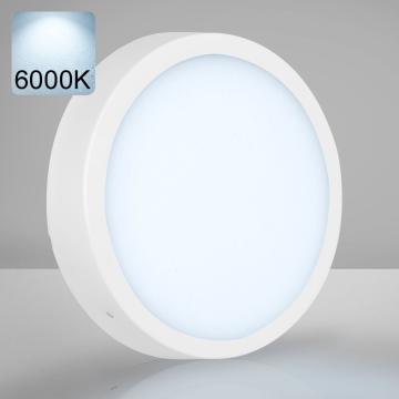 EMPIRE | Panel LED de montaje en superficie | Ø300mm | 24K / 6000K | Blanco frío | Redondo